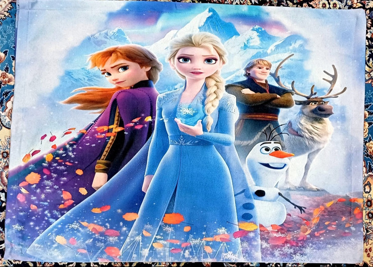 خرید رو بالشتی فانتزی مدل وارداتی السا و آنا frozen elsa & anna