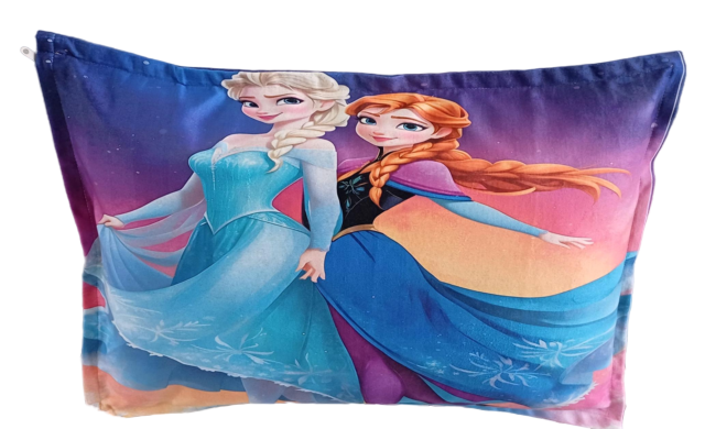 خرید رو بالشتی عروسکی مخمل طرح السا و آنا فروزنfrozen دارای زیپ مخفی قابل شستشو سایز بزرگ